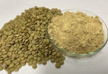 Kadijah Suleiman - Os ingredientes possibilitam o acréscimo de teor de proteína a alimentos à base de vegetais que são similares a produtos de origem animal