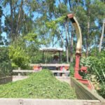 Pesquisadores desenvolvem sistema mecanizado que facilita manejo e uso da gliricídia Ednaldo Araújo - A colheita mecanizada garante a rebrota da planta com altura uniforme, além de reduzir o tempo de operação quando comparada à colheita manual