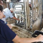 Raquel Brunelli - O aplicativo é capaz de gerar um banco de dados com informações relevantes para o setor