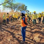 Governo do Tocantins capacita novos brigadistas para Unidades de Conservação do Estado
