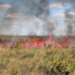Governo do Tocantins suspende a emissão e a vigência das autorizações de queima controlada em todo o Tocantins