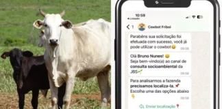 ‘Cowbot’: JBS lança ferramenta que amplia monitoramento socioambiental na cadeia da pecuária