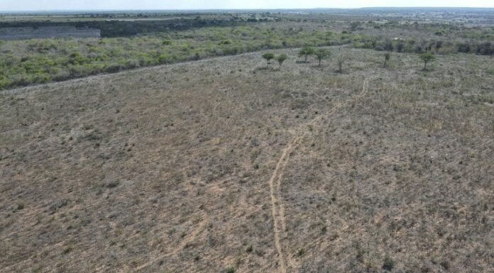 Ibama, desmatamento, fazenda
