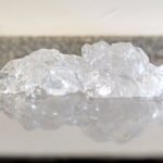 Pesquisadores obtêm gelatina da pele do tambaqui Fernanda Ramalho Procópio - Gelatina de peixe em estado de gel