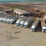 Viu esta? Transporte boiadeiro modernizado garante mais conforto e qualidade