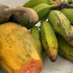Governo do Tocantins realiza a Feira da Colheita em Ipueiras, com novas tecnologias, expositores e capacitações para agricultores