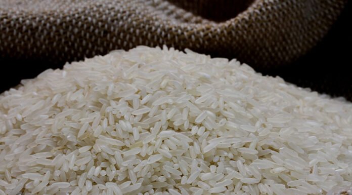 Indústria lança primeiro arroz rastreado com tecnologia da Embrapa Paulo Lanzetta - A iniciativa permite que o consumidor acesse informações sobre a origem da matéria-prima e o processo pelo qual o produto passa até chegar a ele