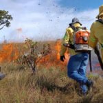 Naturatins combate incêndio florestal na APA Serra do Lajeado