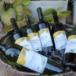 Edmea Ubirajara - Análises comprovam a viabilidade da produção local e atestam a qualidade dos vinhos produzidos na região