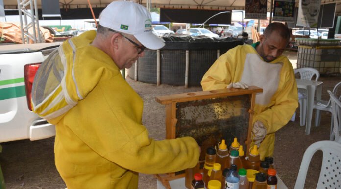 Com apoio do Governo do Tocantins, Expoagra sedia 17ª edição da Feira da Colheita em Augustinópolis