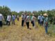 Em Itapiratins, Governo do Tocantins apresenta aos produtores alternativas para produção de laranja e limão