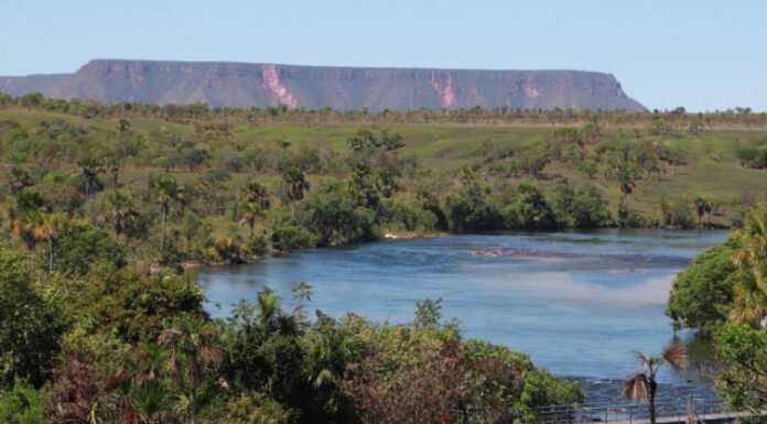 Naturatins divulga lista final de entidades habilitadas para compor o Conselho Gestor da Área de Proteção Ambiental do Jalapão