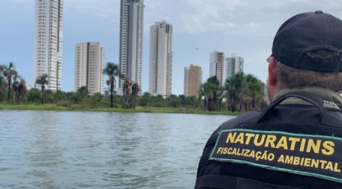 Naturatins intensifica combate à pesca predatória no Estado com operações nos rios Tocantins, Araguaia e lago UHE Luís Eduardo Magalhães