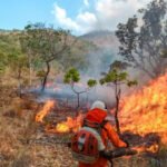 Novo boletim climático do Governo do Tocantins aponta uma redução de 10% na curva de crescimento dos focos de queimadas