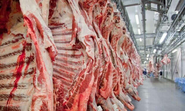 carne bovina - autoembargo