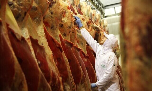 abate, carne bovina, frigoríficos, carnes - abates