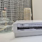 Manuela Bergamim - O acervo tem sido determinante para seleção de estirpes com aptidão para o desenvolvimento de bioinsumos inovadores, na forma de inoculantes