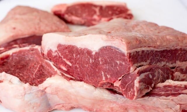 carne bovina - exportações
