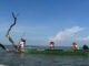 Governo do Tocantins realiza 1ª Conferência Estadual da Pesca