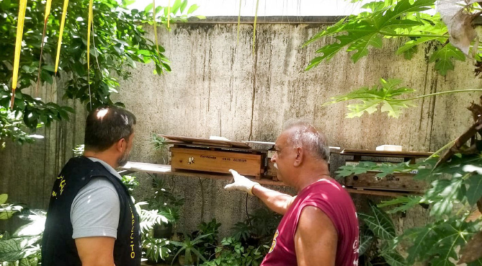 Governo do Tocantins reforça ações de vigilâncias e o cadastramento de meliponários urbanos