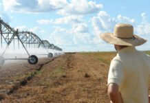 Barbosa de Menezes - Levantamento atual mostra que 2,2 milhões de hectares são irrigados por pivôs centrais no Brasil. Em 2022, a área correspondia a 1,92 milhão de hectares