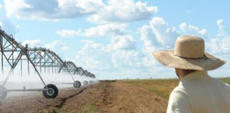 Barbosa de Menezes - Levantamento atual mostra que 2,2 milhões de hectares são irrigados por pivôs centrais no Brasil. Em 2022, a área correspondia a 1,92 milhão de hectares