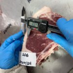 Elen Nalério - Identificação das amostras que serão analisadas