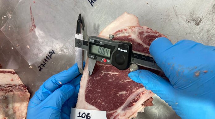 Elen Nalério - Identificação das amostras que serão analisadas