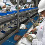 frigorífico de frango