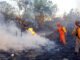 Governo do Tocantins divulga boletim climático que aponta aumento no número de focos de incêndio