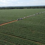 Governo do Tocantins encerra 1ª edição da Caravana da Produção de Grãos apresentando alternativa de plantio de arroz em terras altas, em Miracema