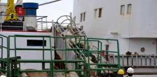 embarque de gado vivo