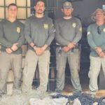 Naturatins realiza fiscalização ambiental nas regiões centro-oeste e sul do estado