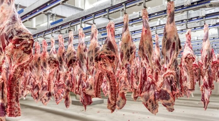 Preços do boi gordo tiveram recuperação; confira as cotações carne