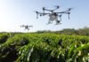 LithoPlant - Drones estão sendo utilizados para aplicação do produto no Espírito Santo, garantindo distribuição homogênea em folhas e frutos