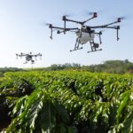 LithoPlant - Drones estão sendo utilizados para aplicação do produto no Espírito Santo, garantindo distribuição homogênea em folhas e frutos