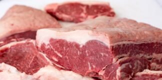 carne bovina - exportações