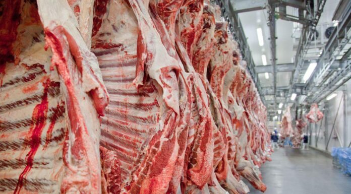 carne bovina - autoembargo