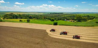 CNA - Além do PIB e do nível de emissões de CO2, são considerados nos estudos a participação da agricultura na economia e o uso de fertilizantes nitrogenados
