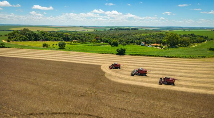 CNA - Além do PIB e do nível de emissões de CO2, são considerados nos estudos a participação da agricultura na economia e o uso de fertilizantes nitrogenados