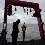 Fungo da Antártica pode levar a novo biopesticida natural
