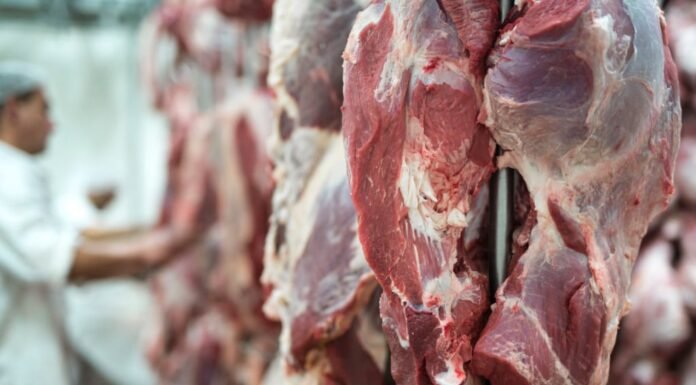 carne bovina frigoríficos