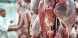 carne bovina frigoríficos