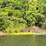 Siglia Souza - Resultados da pesquisa evidenciam o potencial biotecnológico da diversidade microbiana amazônica. Na foto, rio Negro