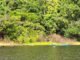 Siglia Souza - Resultados da pesquisa evidenciam o potencial biotecnológico da diversidade microbiana amazônica. Na foto, rio Negro