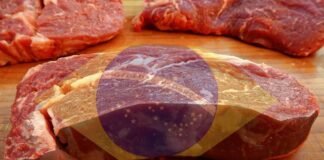 carne bovina estampada com bandeira do brasil