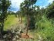 Governo do Tocantins avança com o projeto Plantando Água para a região sudeste do estado