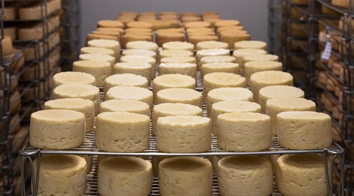 Queijo