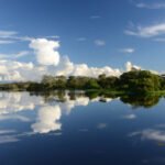 Naturatins abre convocação para instituições interessadas em integrar o Conselho Gestor da APA Ilha do Bananal/Cantão