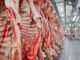 carne bovina - autoembargo